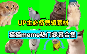 UP主必备！B站某音热门绿幕视频素材，180套猫猫meme动态绿幕合集包，含背景图BGM，含使用教程电脑DIY圈-电脑DIY,一个分享电脑DIY硬件,电脑软件,软件素材资源,各类教程的博客-鑫屿翔网络电脑DIY圈