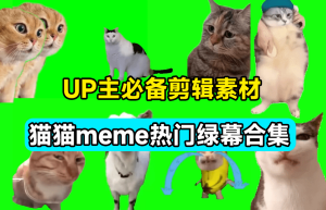 UP主必备！B站某音热门绿幕视频素材，180套猫猫meme动态绿幕合集包，含背景图BGM，含使用教程缩略图