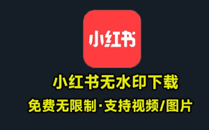 小红书封面视频无水印下载解析器！纯本地运行，支持无水印下载，无广告，无限制下载小红书图片电脑DIY圈-电脑DIY,一个分享电脑DIY硬件,电脑软件,软件素材资源,各类教程的博客-鑫屿翔网络电脑DIY圈