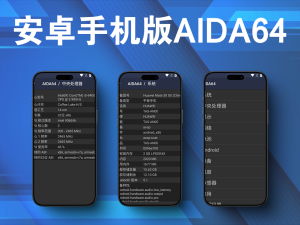 安卓手机版AIDA64 v2.03 高级版一款功能齐全的硬件和软件信息检测工具电脑DIY圈-电脑DIY,一个分享电脑DIY硬件,电脑软件,软件素材资源,各类教程的博客-鑫屿翔网络电脑DIY圈