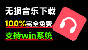 电脑版小汪音乐无损下载器 是一款功能强大的音乐下载工具电脑DIY圈-电脑DIY,一个分享电脑DIY硬件,电脑软件,软件素材资源,各类教程的博客-鑫屿翔网络电脑DIY圈