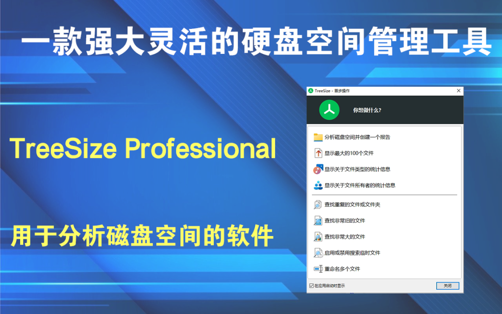 TreeSize Professional  v9.4.2一款强大灵活的硬盘空间管理工具插图