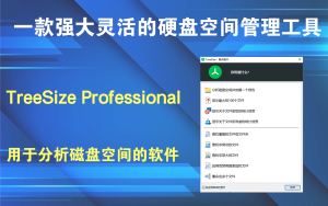 TreeSize Professional  v9.5.1.2105一款强大灵活的硬盘空间管理工具电脑DIY圈-电脑DIY,一个分享电脑DIY硬件,电脑软件,软件素材资源,各类教程的博客-鑫屿翔网络电脑DIY圈