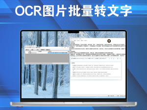 OCR图片批量转文字,准确率高,绿色免费版电脑DIY圈-电脑DIY,一个分享电脑DIY硬件,电脑软件,软件素材资源,各类教程的博客-鑫屿翔网络电脑DIY圈