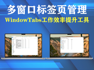 多窗口标签页管理，WindowTabs工作效率提升工具电脑DIY圈-电脑DIY,一个分享电脑DIY硬件,电脑软件,软件素材资源,各类教程的博客-鑫屿翔网络电脑DIY圈