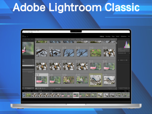 Adobe Lightroom Classic 2025 (14.2.0.8) 特别版一款专业的照片处理和管理软件电脑DIY圈-电脑DIY,一个分享电脑DIY硬件,电脑软件,软件素材资源,各类教程的博客-鑫屿翔网络电脑DIY圈