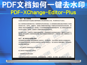 PDF文档如何一键去水印PDF-XChange Pro 10.2.1.385.0/Editor Plus 10.5.2.395软件分享电脑DIY圈-电脑DIY,一个分享电脑DIY硬件,电脑软件,软件素材资源,各类教程的博客-鑫屿翔网络电脑DIY圈