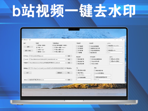 b站视频一键去水印，无痕去水印，操作简单，完全免费用电脑DIY圈-电脑DIY,一个分享电脑DIY硬件,电脑软件,软件素材资源,各类教程的博客-鑫屿翔网络电脑DIY圈
