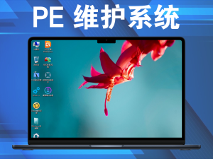 PE 维护系统，一盘走天下 03PE+10PE+11PE 3in1 （v2025.03.19）电脑DIY圈-电脑DIY,一个分享电脑DIY硬件,电脑软件,软件素材资源,各类教程的博客-鑫屿翔网络电脑DIY圈
