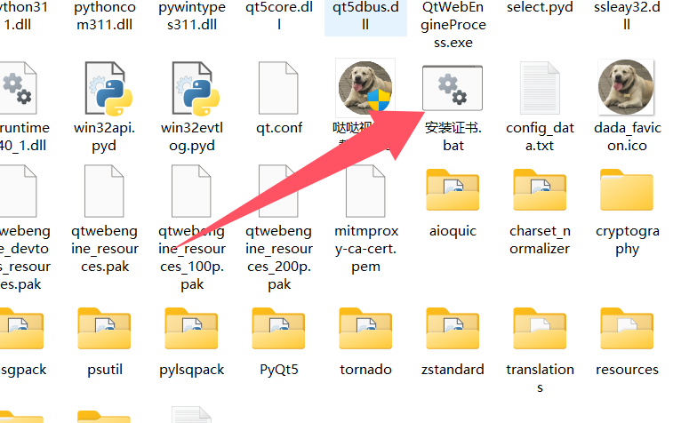 最新视频号批量下载工具,操作简单,画质高清插图1 最新视频号批量下载工具,操作简单,画质高清插图1
