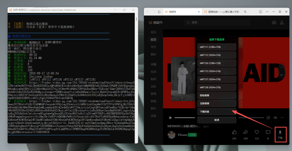 视频号下载神器又来了!界面美观,效果更强大,支持智能识别分类插图3 视频号下载神器又来了!界面美观,效果更强大,支持智能识别分类插图3
