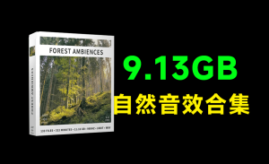 超9.13GB！顶级自然环境音效合集，含鸟类的鸣叫和风声、树声等，133个纯净的自然森林环境音效素材电脑DIY圈-电脑DIY,一个分享电脑DIY硬件,电脑软件,软件素材资源,各类教程的博客-鑫屿翔网络电脑DIY圈