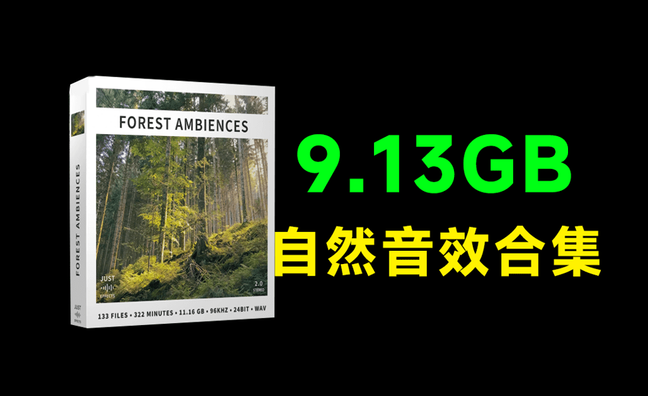 超9.13GB！顶级自然环境音效合集，含鸟类的鸣叫和风声、树声等，133个纯净的自然森林环境音效素材电脑DIY圈-电脑DIY,一个分享电脑DIY硬件,电脑软件,软件素材资源,各类教程的博客-鑫屿翔网络电脑DIY圈
